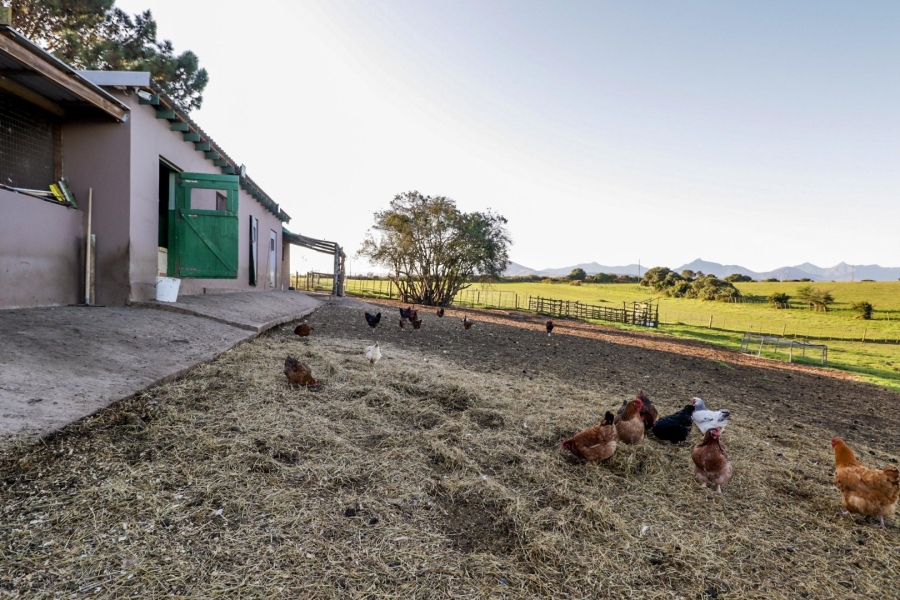 Commercial Property for Sale in Rondevlei Western Cape